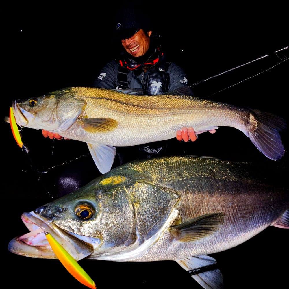 ＳＮＡＰx２ Vol.2 Amazon.com : Katsuichi Decoy SN-14 EX Snap #2 : Sports